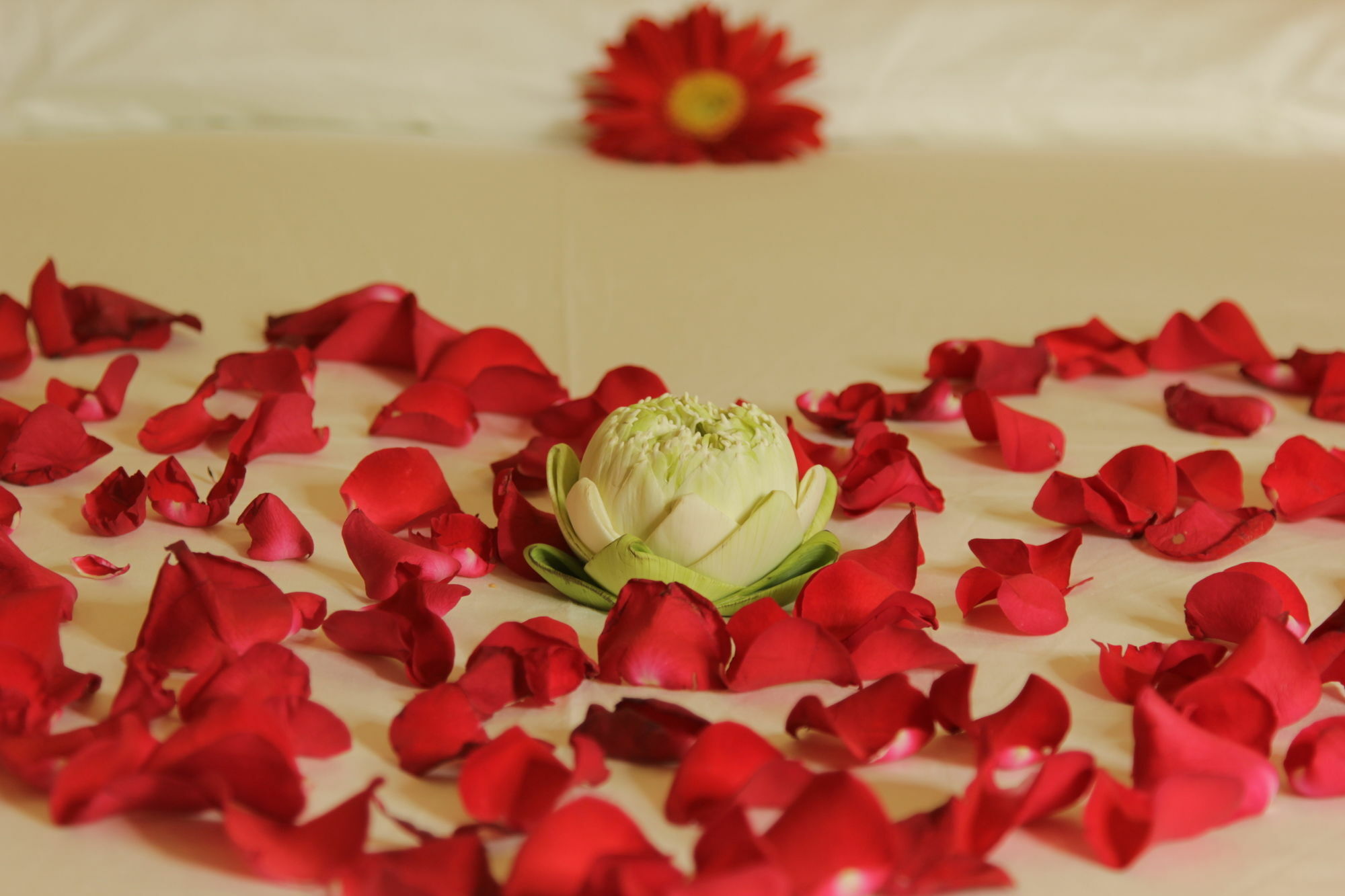 Yazhou Foryou Hotel Πνομ Πενχ Εξωτερικό φωτογραφία